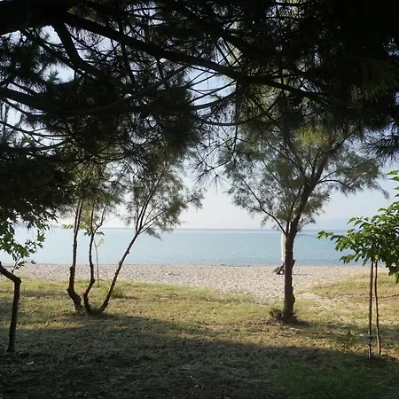 Private Sea Front Houses Platan *
