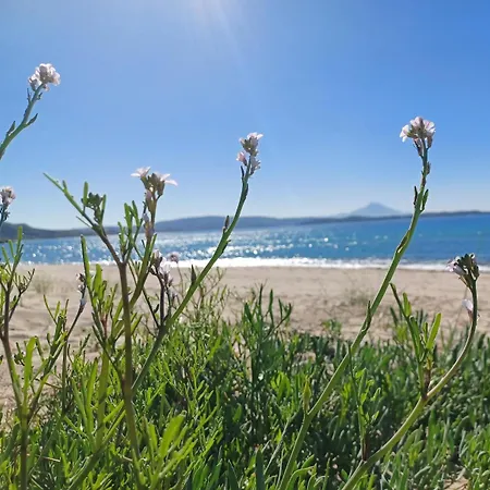 Private Sea Front Platan