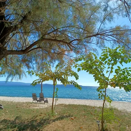 Private Sea Front Platan Semesterbostad Develíkia