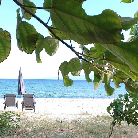 Private Sea Front Platan Semesterbostad *