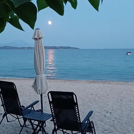 Semesterbostad Private Sea Front Platan *